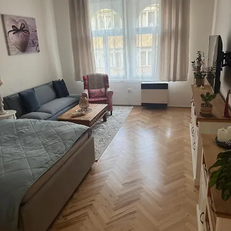 Veverkova Apartament Praga
